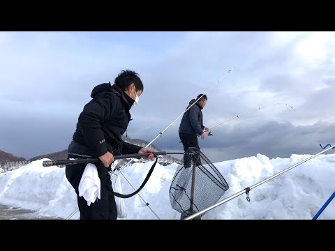 【北海道】【釣り】魚影圧巻！！いよいよ開幕！！