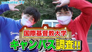 個性も国際色も豊か！ICU 国際基督教大学キャンパス調査！【wakatte TV】#635