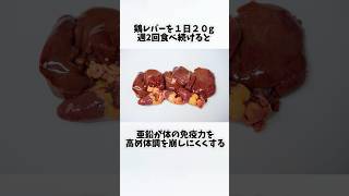 鶏レバーを毎日食べたらどうなるの？①【30秒でわかる効果まとめ】#鶏レバー #ダイエット #筋トレ #美容 #健康 #雑学 #ナレーター #小林将大