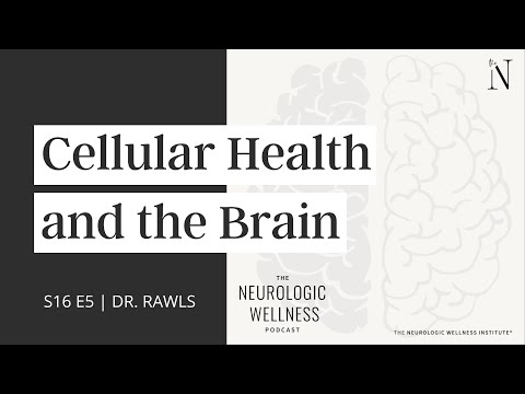 Cellular Health and the Brain