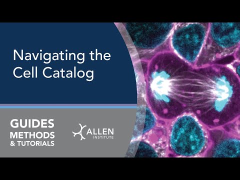 Navigating the Cell Catalog