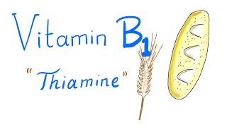 Vitamin B1 (Thiamine) - Whole grain 🥖 🌾 - Diet and Nutrition Playlist