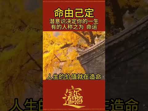 潜意识决定你的一生，有的人称之为命运 #曾仕强教授 #国学智慧 #命运