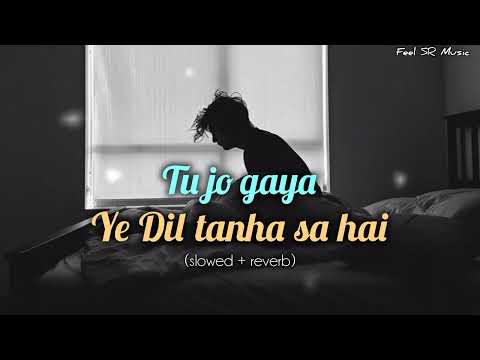 Tu jo gaya.. Ye Dil tanha sa hai ❤️‍🩹🥺 FULL SONG | slowed + reverb | #lofimusic #bollywoodmusic