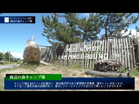 海辺の森キャンプ場