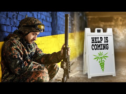 The Potential of Cannabis to Treat PTSD #ptsd