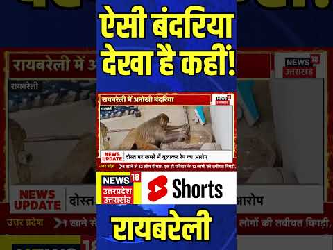 ऐसी बंदरिया देखा है कहीं! Viral | #shorts