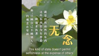 修心就是回归自己的内心，回归到“无念”【中英】白话佛法 · 节选