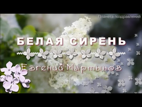 Белая сирень, Евгений Мартынов  хиты 80 х