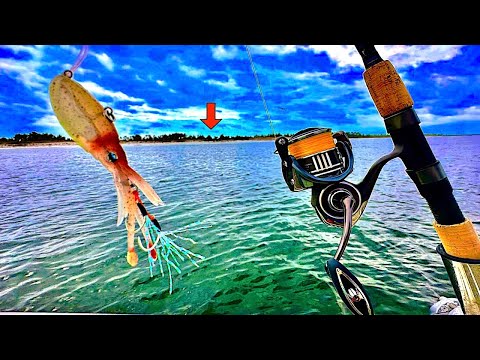 Fishing this *NEW* SQUID JIG! in the BAY for LUNCH! [Catch, Clean, Cook]