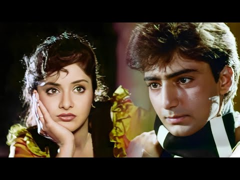 Hum Tum Picture Dekh Rahe| Divya Bharti | Kamal Sadanah | Alka Yagnik, Udit Narayan | Rang | 90's