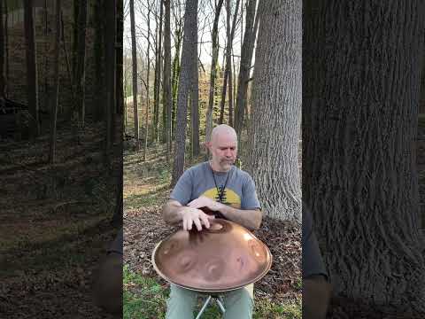 Inviting some peaceful grooves of nature and music in today🎶🌲#handpan #handpandrum #music #nature