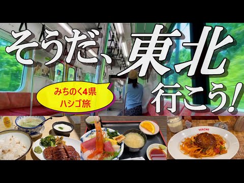 【過酷】独身32歳、在来線を駆使した周遊が大変過ぎた。【宇都宮→福島→山形→仙台＆岩手】