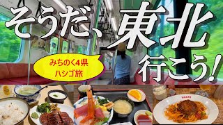 【過酷】独身32歳、在来線を駆使した周遊が大変過ぎた。【宇都宮→福島→山形→仙台＆岩手】