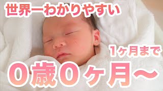 保育士が解説！世界一わかりやすい【0歳0ヶ月〜1ヶ月】の成長と子育て