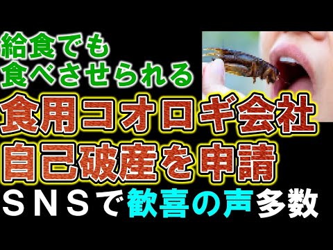 【食用コオロギ】会社が破産した原因が判明。ＳＮＳは歓喜の声が多数。