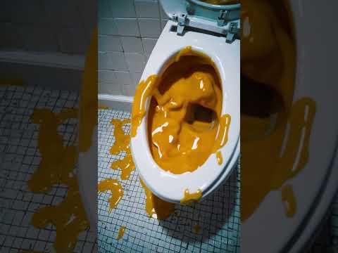 Nacho Cheese Toilet