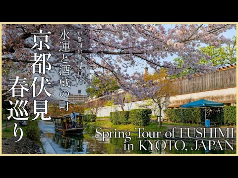 【京都／観光名所】京都伏見春巡り／水運と酒蔵の町 - Spring Tour of FUSHIMI in KYOTO, JAPAN