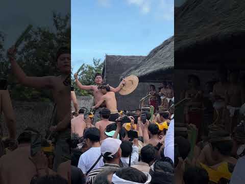 FIGHTS! Bali 2024 🇮🇩 Bali Travel Vlog #baliindonesia #bali #bali2024