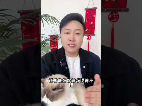 你家的猫咪， 会这样吗？养猫经验分享 科学养宠攻略 养猫人 好有特色的小猫 新手养猫