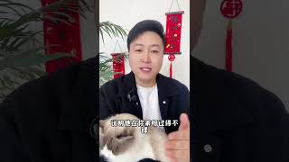 你家的猫咪， 会这样吗？养猫经验分享 科学养宠攻略 养猫人 好有特色的小猫 新手养猫