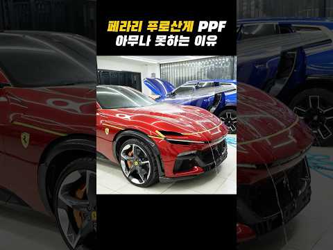 초보자는 절대 못하는 PPF 작업 #shorts