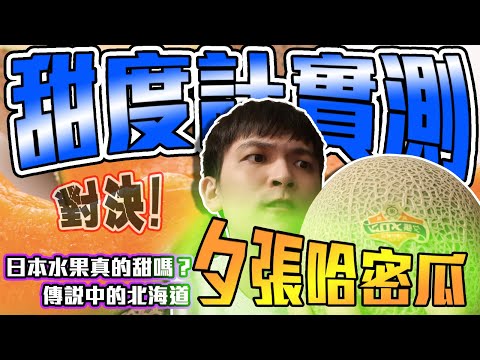 【農產系列】甜度計實測！日本的水果真的甜嗎？北海道夕張哈密瓜！北海道富良野哈密瓜！【日本果物系列-哈密瓜篇】