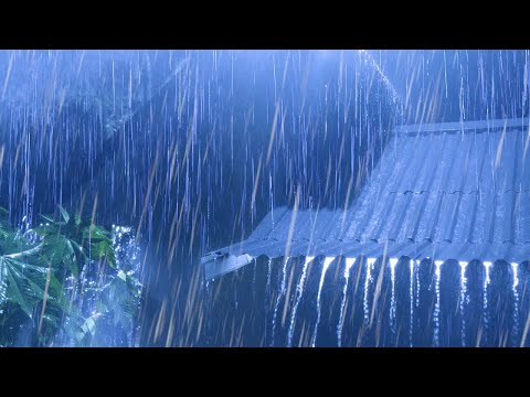 夜のトタン屋根での大雨と激しい雷の音で、重さはさようなら、すぐに眠れます