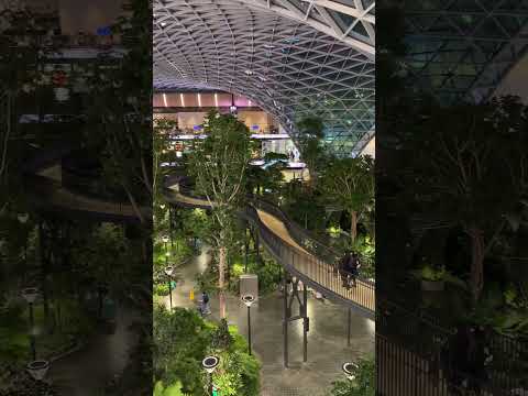 Doha Hamad Airport garden | Qatar #travel #airport #garden