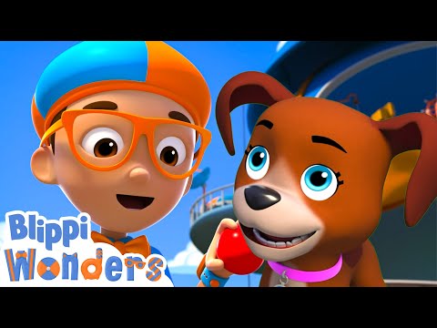 Blippi plays fetch with a Puppy ! | Blippi Wonders Educational Videos for Kids