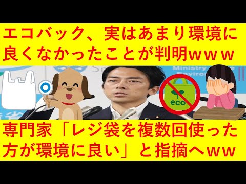 【悲報】エコバッグ、あまり環境に良くなかったことが判明へｗｗｗ「131回以上使わないとレジ袋よりも環境に悪い」と専門家が指摘してしまうｗｗｗｗｗｗｗ