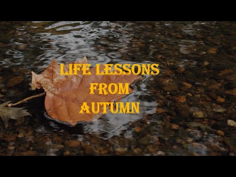 Life lessons from Autumn | 8 lessons from Autumn season | Motivational video for kids