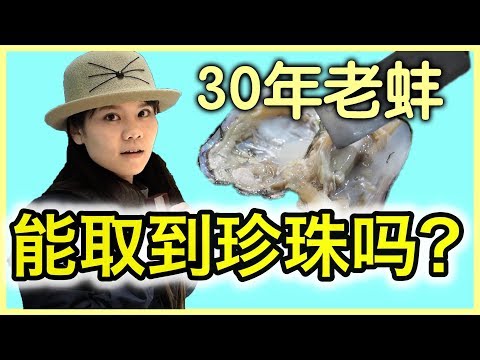 鼓浪屿现开 30 年老蚌取珍珠 | BananaMilkyTV