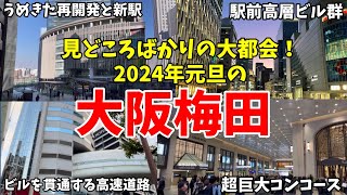 新宿より都会？東京出身者が語る大阪梅田を歩きながら街解説！【梅田ダンジョン】