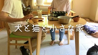 Country life with a dog, a cat and a married couple / Walking and garden time / Vegan takoyaki party