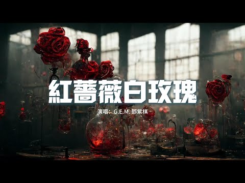 G.E.M. 鄧紫棋 - 紅薔薇白玫瑰(Live)『夢裡鮮紅的薔薇，睜眼是蒼白的玫瑰，它躺在月亮下，紀念着曾經最真摯的愛。』【動態歌詞MV】