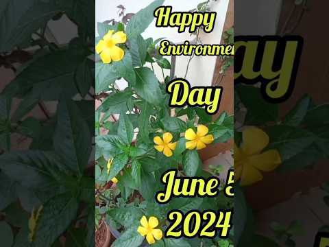 happy environment day June 5@sutharsanalifestyle308         #happyenvironmentday