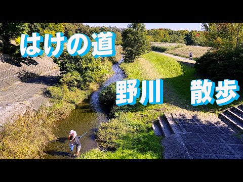 はけの道・野川を歩く　「散歩の達人」おすすめコース　「生きるを楽しむ」　Cocoroa通信その121