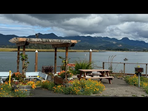 Picture perfect DREAM location! Otters, seals, herons! Wheeler, Oregon. Driving up the coast. Part 1