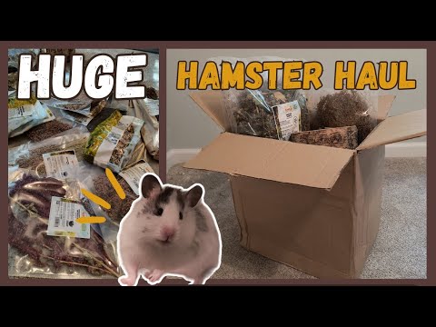 HUGE Hamster Haul from GETZOO! 🐹📦// unboxing + review