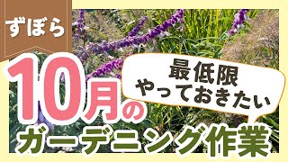 【10月のガーデニング作業まるわかり】秋の庭を楽しもう｜春と冬の準備も解説♪