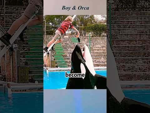 Boy became a trainer for an orca. #drama #futurelink