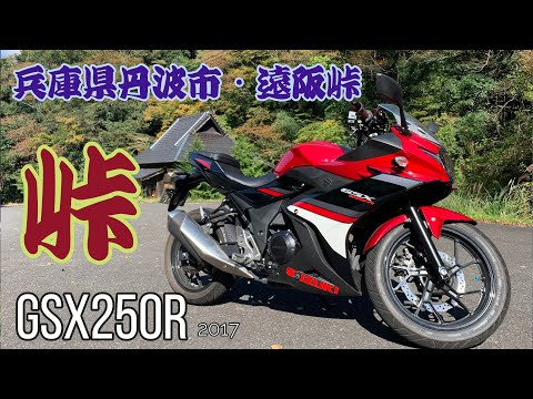 【モトブログ】GSX250Rで遠阪峠（兵庫県丹波市）のワインディングを駆け上る！【TS-GARAGE】