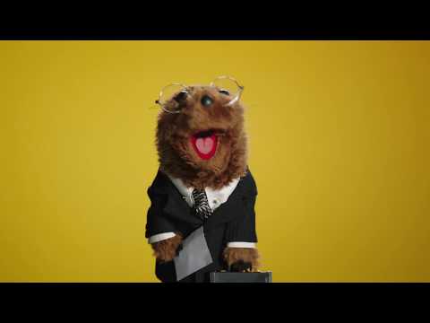 A Groundhog Day Message from Joe the Legal Weasel | The Muppets