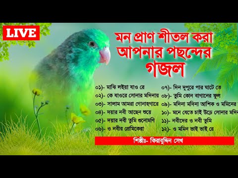 🔴 Live Gojol | ঘুমানোর আগে গজল গুলি শুনুন মনে শান্তি আসবে | মন প্রাণ শীতল করা পছন্দের গজল