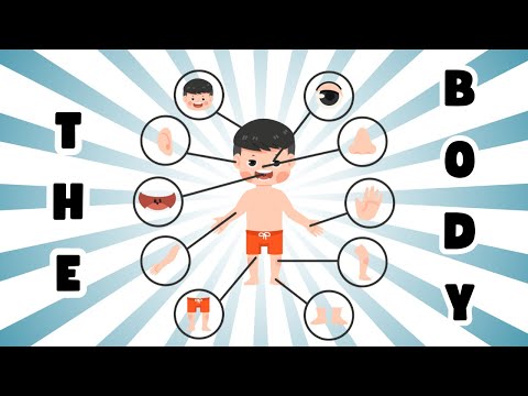 👃👂Head, Shoulders, Knees, and Toes Song | Learn the parts of the body! | Tiny Beatz