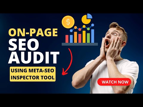 Website On-Page SEO AUDIT Using MetaSEO Inspector