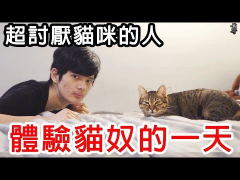 【尊】試著讓超討厭貓咪的人來體驗養貓的一天!?