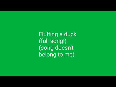 Fluffing a duck full song!