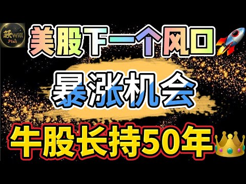 美股投资｜重大机会!AI人工智能后下一个暴涨股.买AMD不如买它.长持50年的牛股｜美股趋势分析｜美股期权交易｜美股赚钱｜美股2024